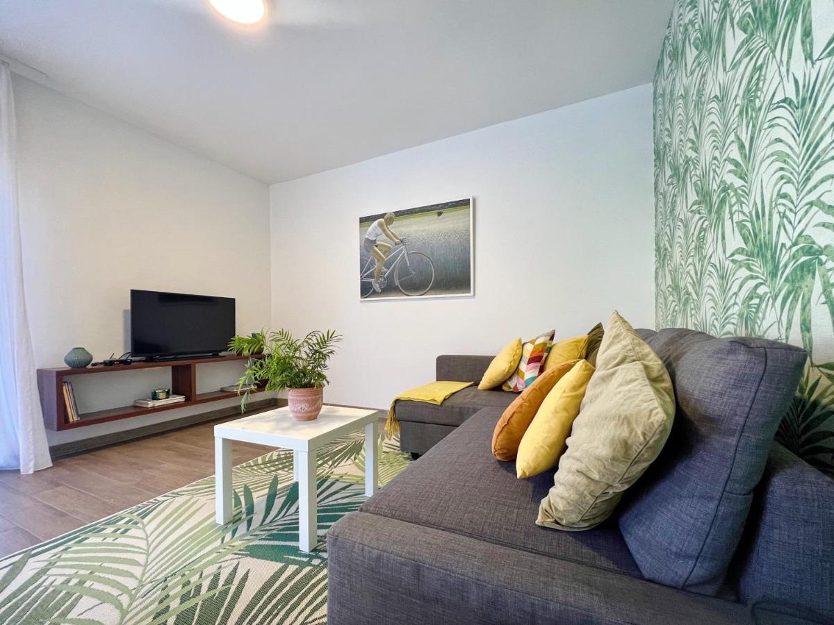 Apartments Teodora Maria Novigrad Istria Eksteriør billede