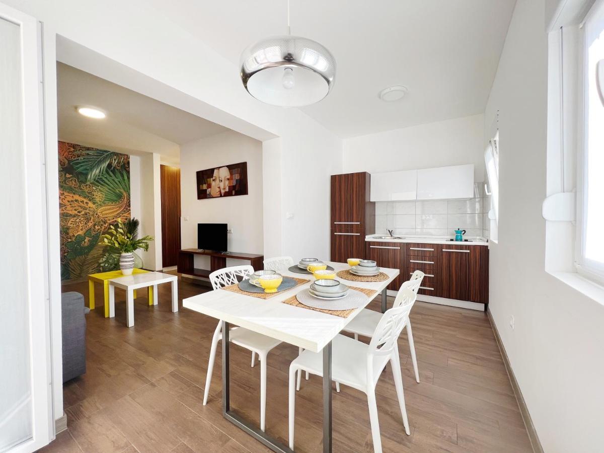 Apartments Teodora Maria Novigrad Istria Eksteriør billede